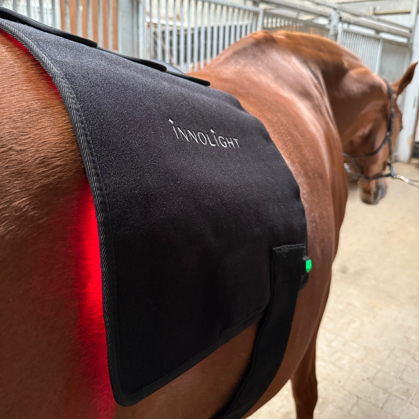 Innolight Therapy Red