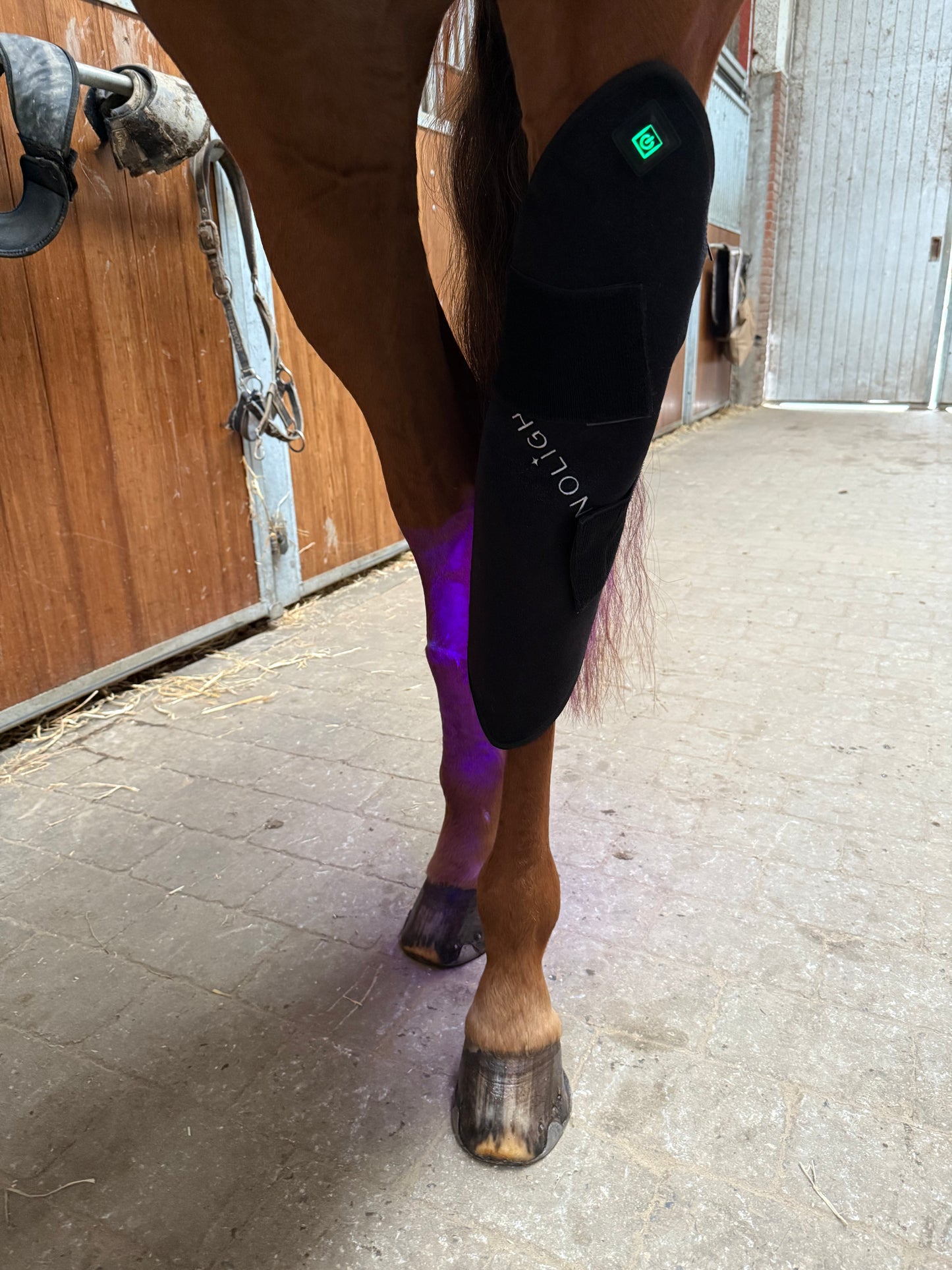 Innolight Therapy Pro Duo