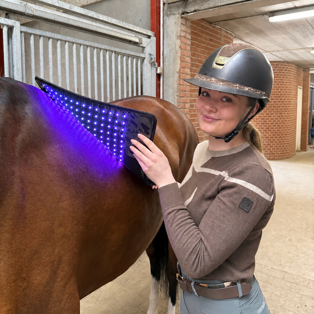 Innolight Therapy Pro