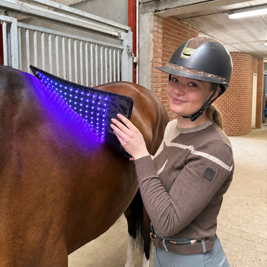 Innolight Therapy Pro