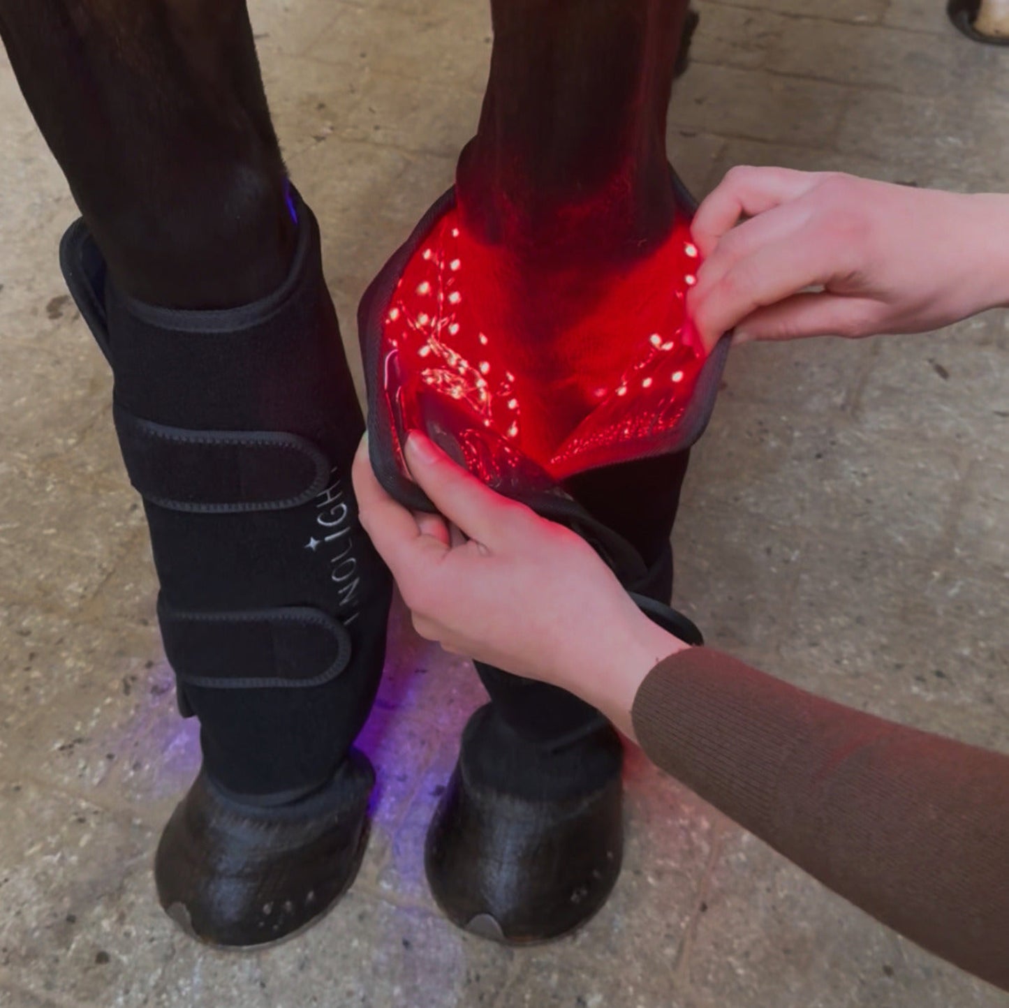 Innolight Therapy Pro x 2