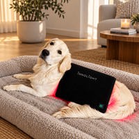 Innolight Therapy Pro