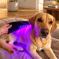 Innolight Therapy Pro