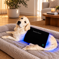 Innolight Therapy Pro