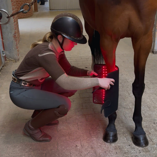 Innolight Therapy Red