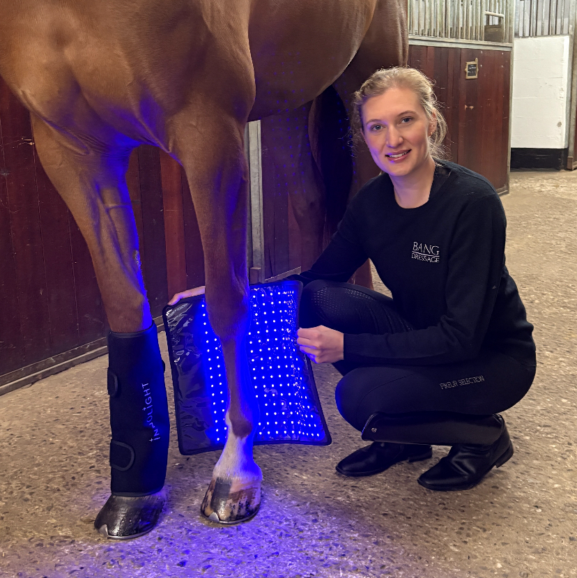 Innolight Therapy Pro