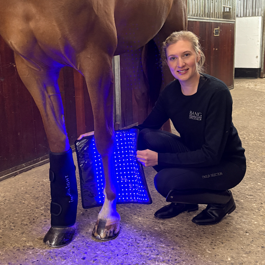 Innolight Therapy Pro