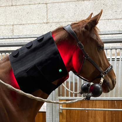 Innolight Therapy Red x 2