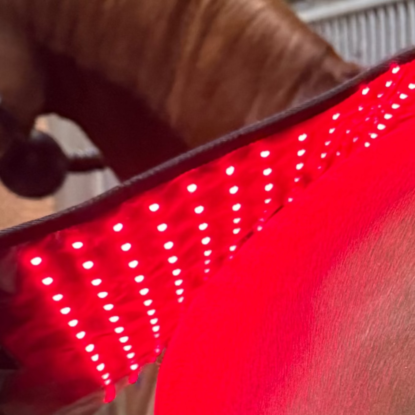 Innolight Therapy Red
