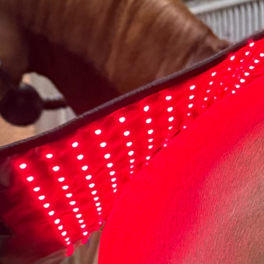 Innolight Therapy Red