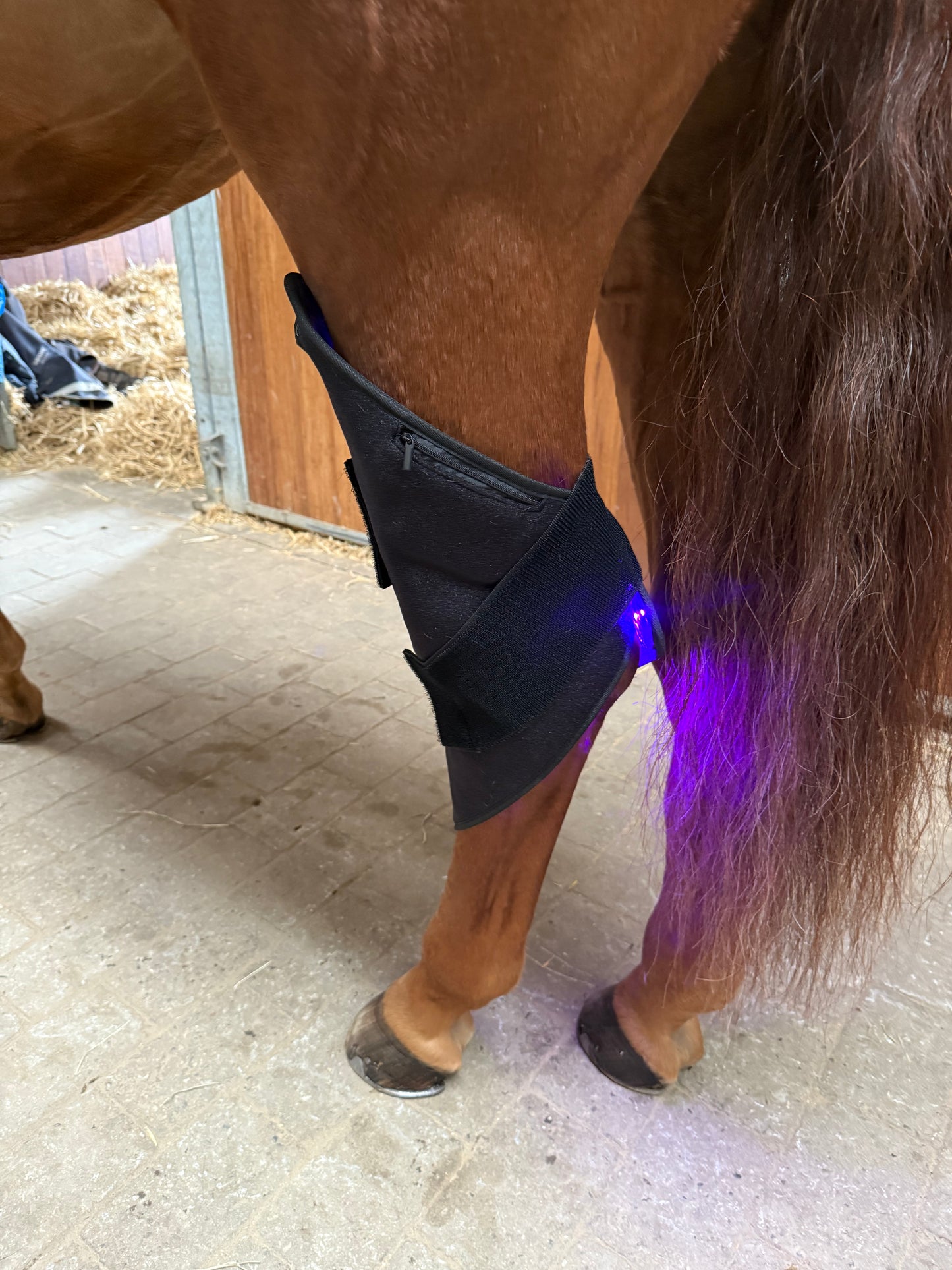 Innolight Therapy Pro Duo