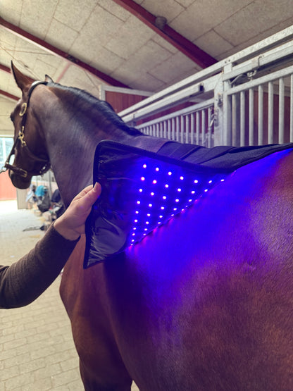 Innolight Therapy Pro Duo