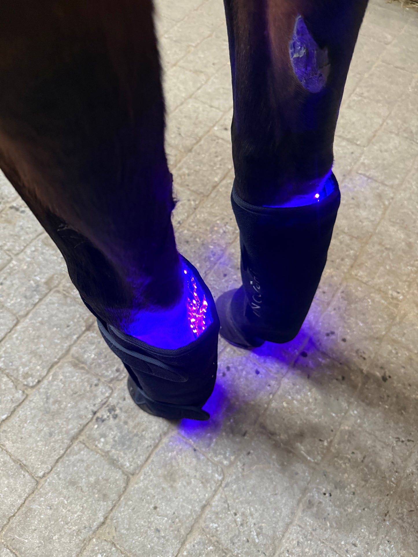 Innolight Therapy Pro Duo