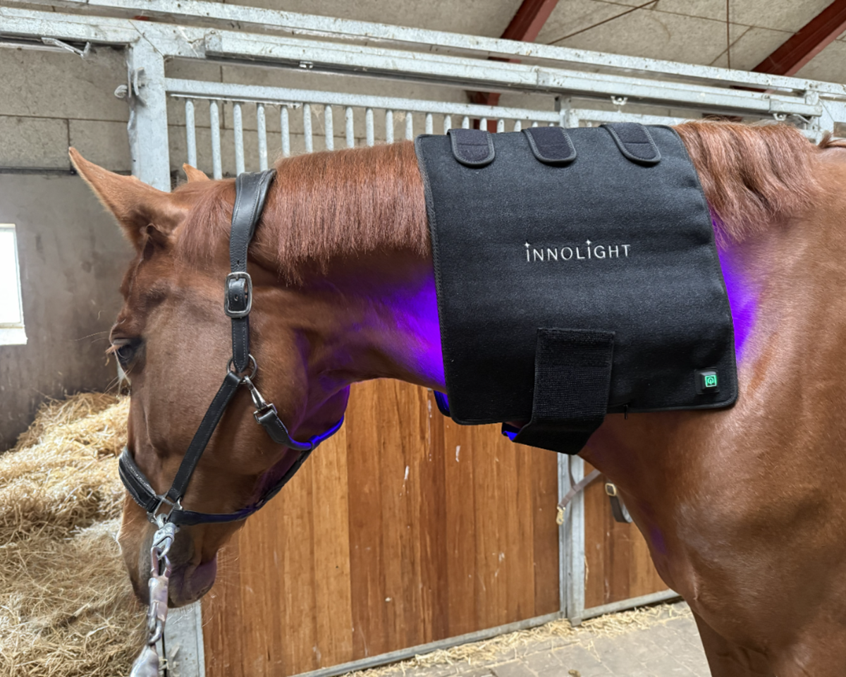 Innolight Therapy Pro Duo