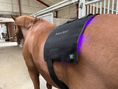 Innolight Therapy Pro Duo