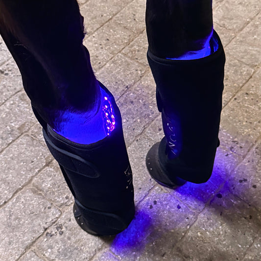 Innolight Therapy Pro x 2