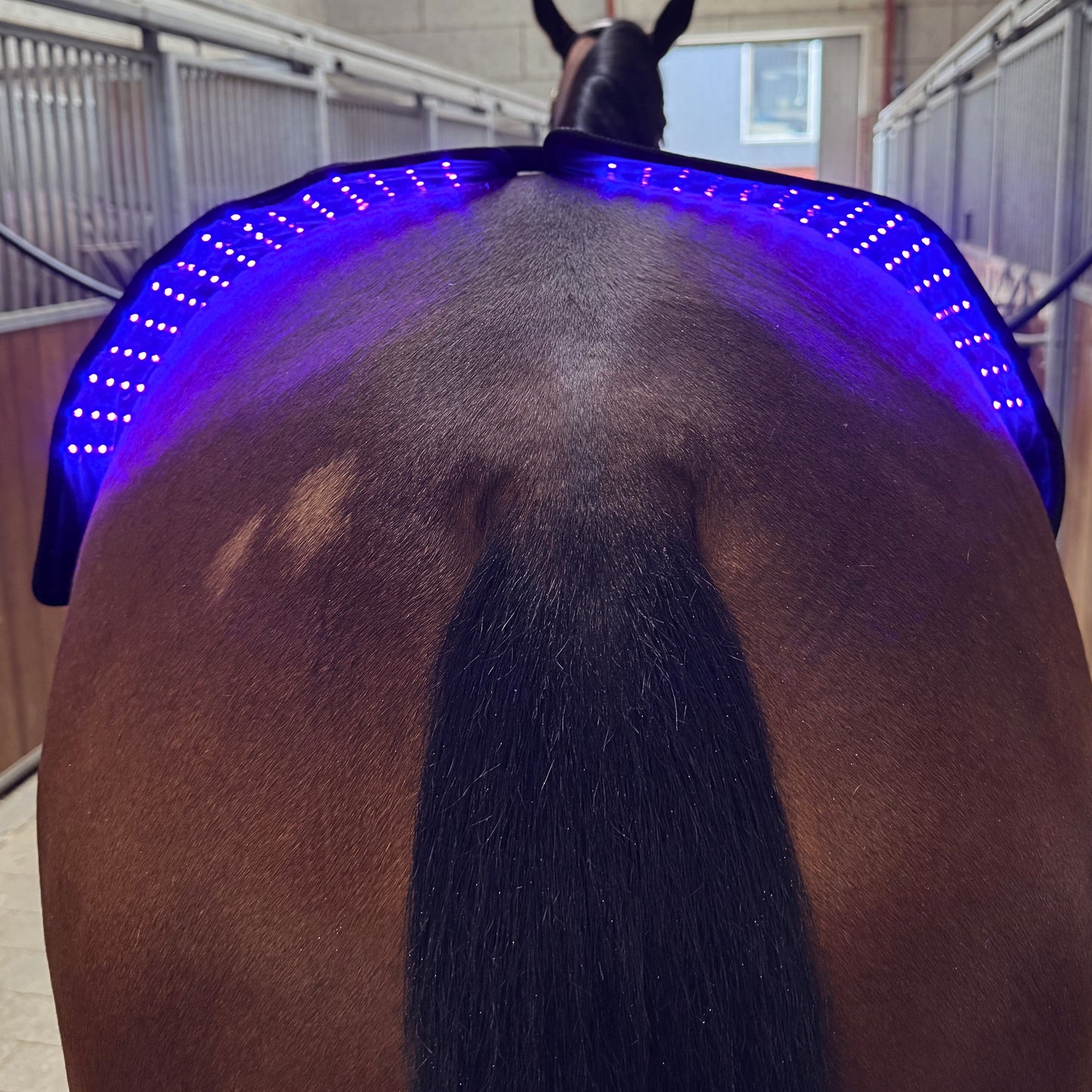 Innolight Therapy Pro x 2