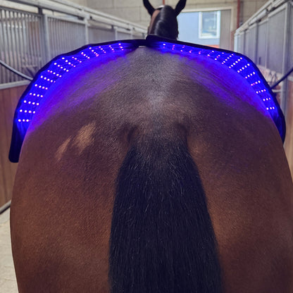 Innolight Therapy Pro x 2