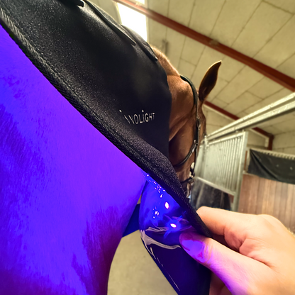 Innolight Therapy Pro