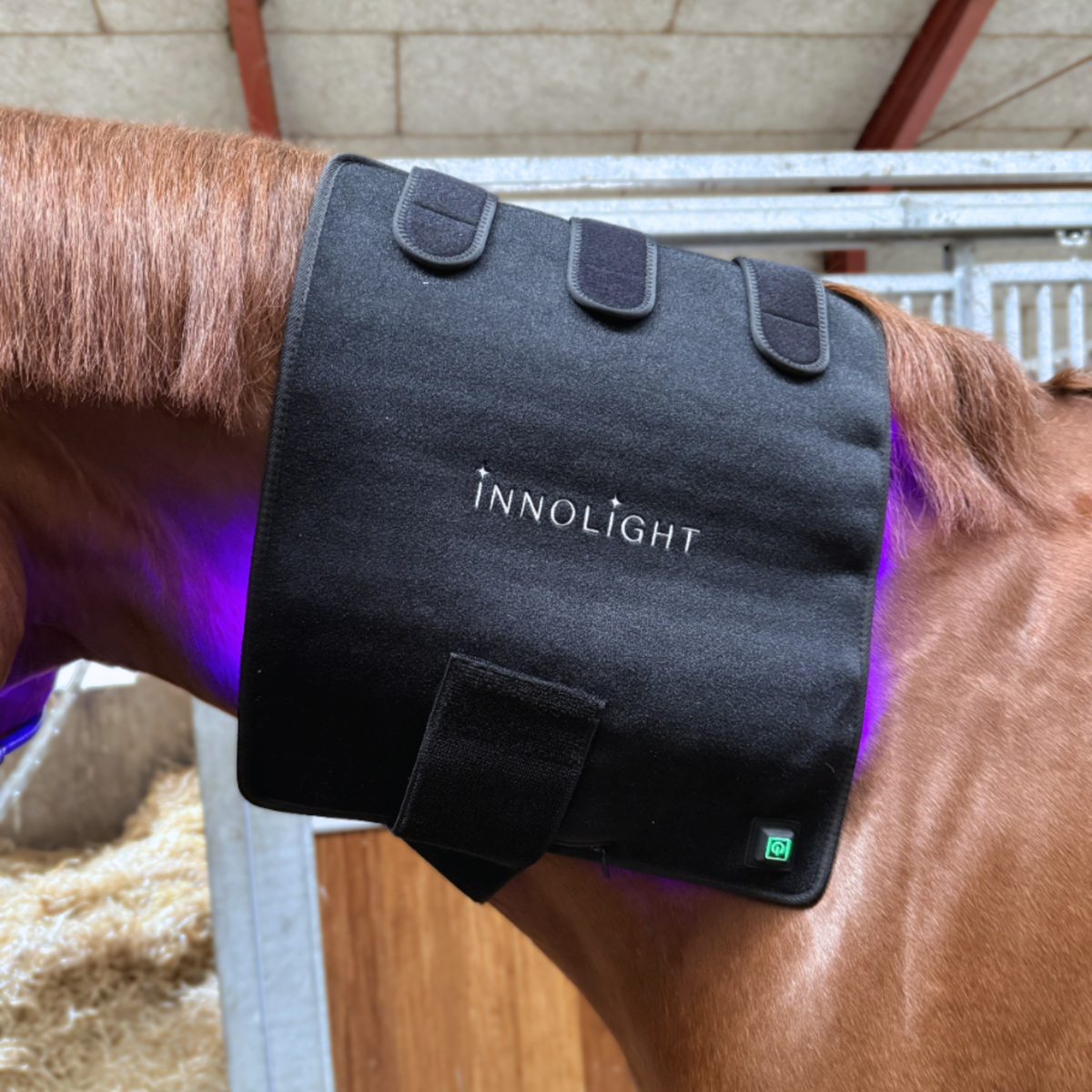Innolight Therapy Pro x 2